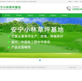 云南小林草坪批发「云南草坪自产自销」云南最大的草坪种植基地