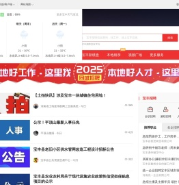 宝丰在线
