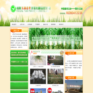 绿化麦冬