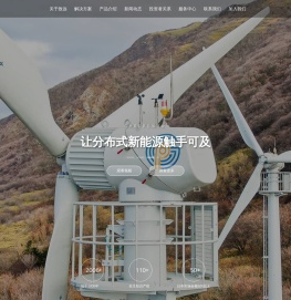 上海致远绿色能源股份有限公司