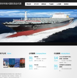 深圳瑞兴国际货运代理有限公司