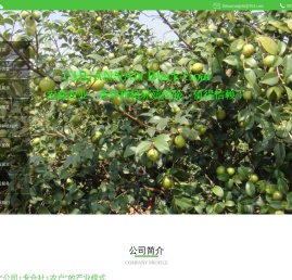 宜宾吉森农业开发有限公司