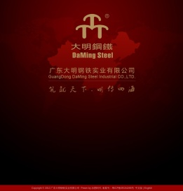 广东大明钢铁实业有限公司