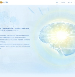 浙江脑动极光医疗科技有限公司