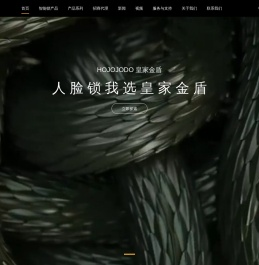 皇家金盾人脸锁