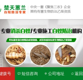 武汉白蚁防治