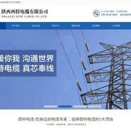 陕西西特电缆有限公司