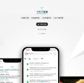 飞鸟下载器