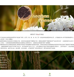 金瑞种业