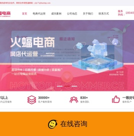 杭州火蝠电商
