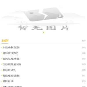 沪市玉米网