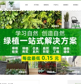 金坛花卉租摆