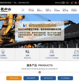 皮带秤专家