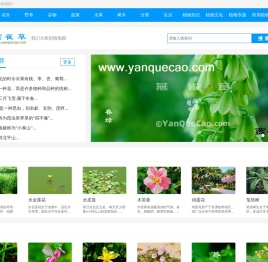 植物百科