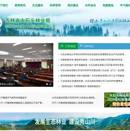 大石头林业局