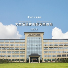 大安控股集团股份有限公司