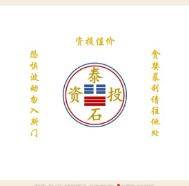 泰石投资