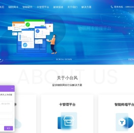 小台风信息科技