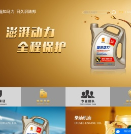 山东陆邦石化有限公司