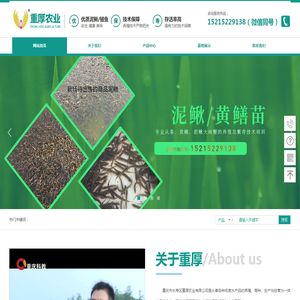 重庆泥鳅苗