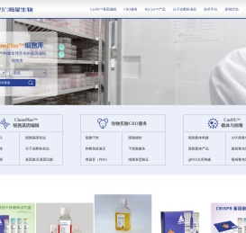 基因敲除细胞株/病毒/载体/细胞系