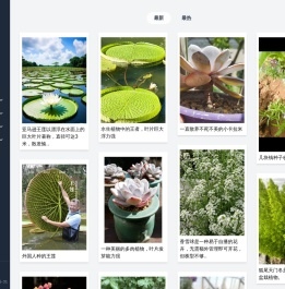 花卉图片网