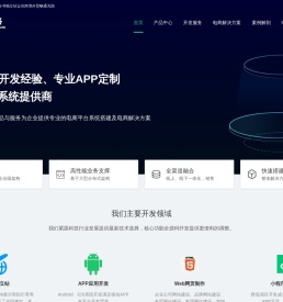 跨境独立站