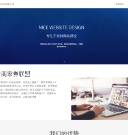 广州德赞信息技术有限公司