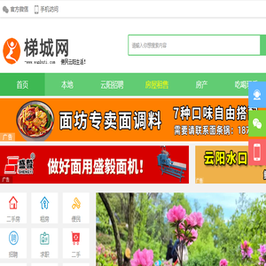 梯城网