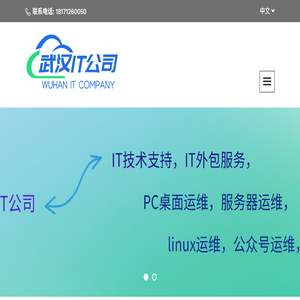 武汉IT公司