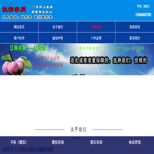 桃形李网
