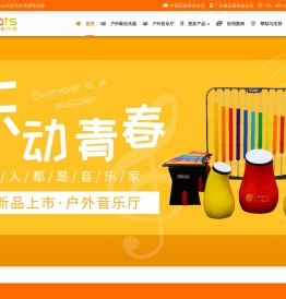 笛驰户外敲击乐器