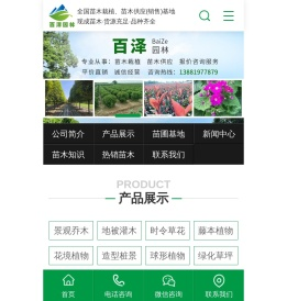 四川绿化苗木