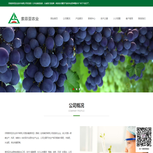 河南索菲亚农业技术有限公司｜叶面肥｜冲施肥｜水溶肥｜微生物菌肥