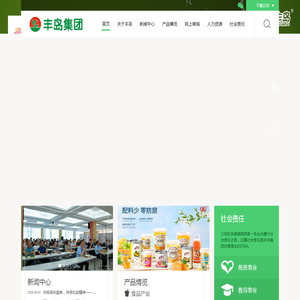 丰岛控股集团