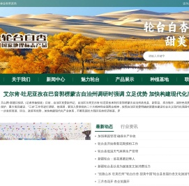轮台白杏