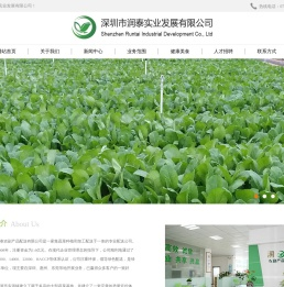 深圳市润泰实业发展有限公司
