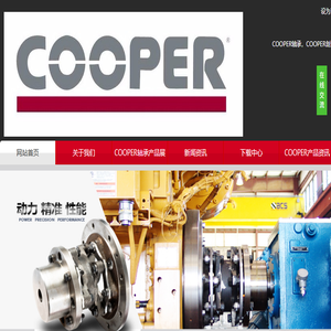 COOPER轴承