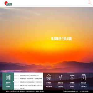 四川东辰（集团）股份有限公司