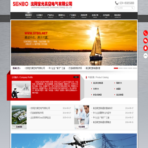 沈阳宝光真空电气有限公司