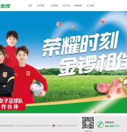金锣文瑞食品有限公司