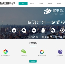 广西黑天鹅科技有限公司