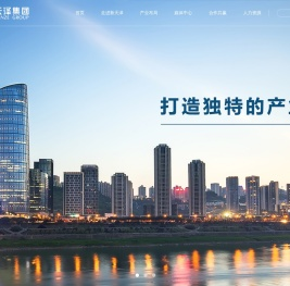 重庆新天泽产业控股集团有限公司