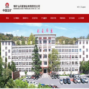 锡矿山闪星锑业有限责任公司（中