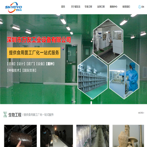 深圳盛友友工业集团有限公司