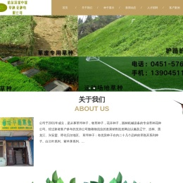 哈尔滨哪卖花种,哈尔滨哪卖花籽,哈尔滨草种