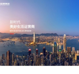 东方盛景集团