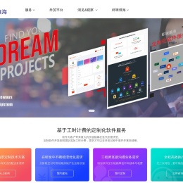 软件开发公司