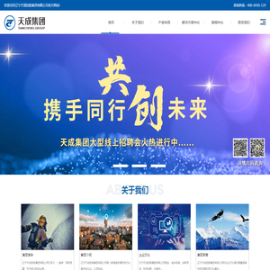 辽宁天成控股集团有限公司