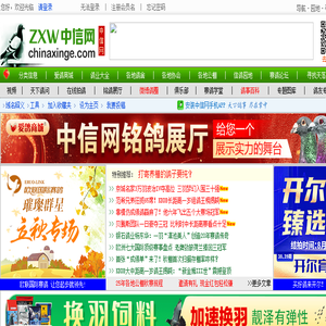 中信网
